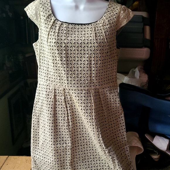 Calvin Klein black * Tan beautiful eyelet dress sz10p - Picture 8 of 9